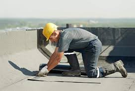 Best Roof Moss and Algae Removal  in Rio Vista, TX